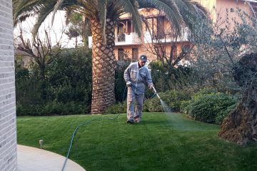 manutenzione giardino