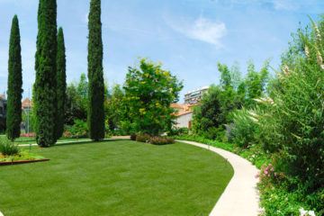 Cipressi-Bambù-giardino-moderno