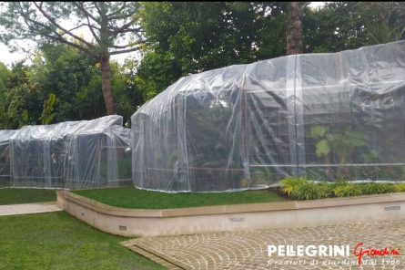 freddo piante, protezionepiante, proteggere piante,coperture piante,