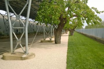 verde aziendale, giardino aziendale, realizzazione pellegrini, realizzazione giardino