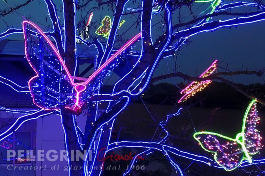 farfalla;Natale 2018; Civitanova Marche