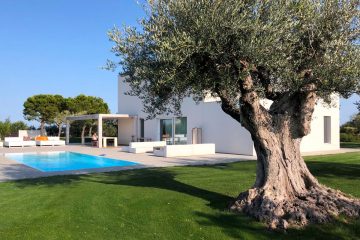 come progettare un giardino perfetto