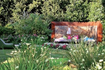 giardino, seduta, Dietes