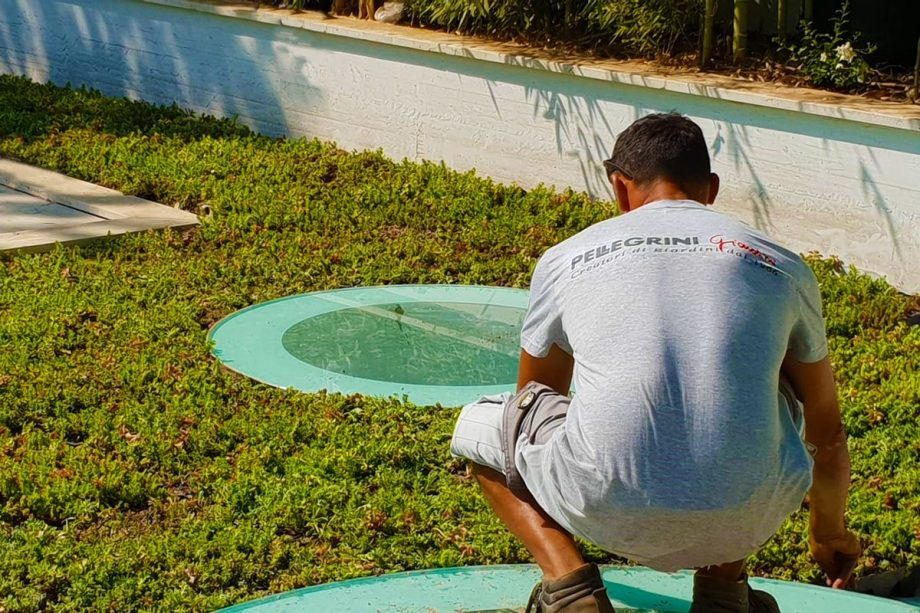 realizzazione giardini