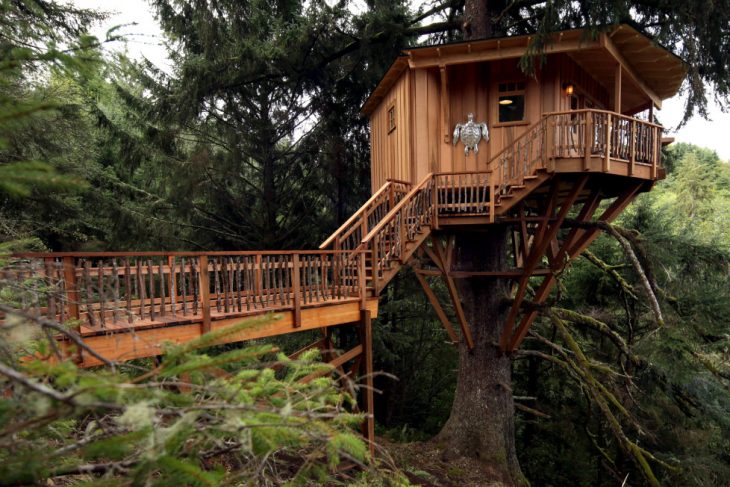 Una casa sull'albero