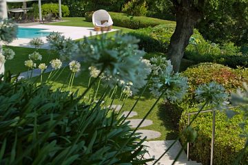 Detail of the staircase with Agapanthus