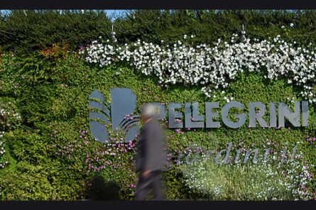 Un giardino verticale nella sede di Pellegrini Giardini