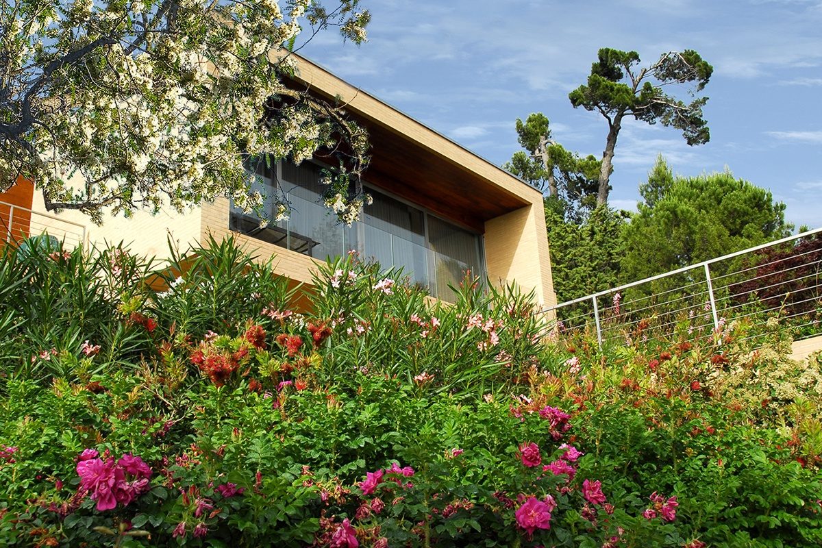 oleanders, green roof