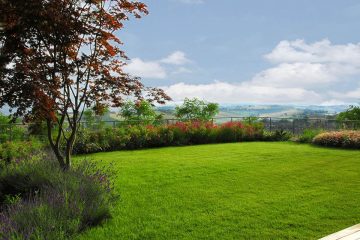 green terrace, garden, green roof
