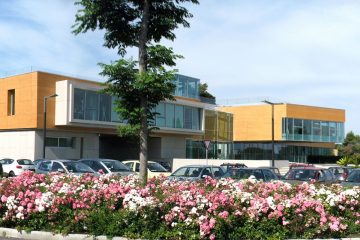 Giant bamboo, Rainbow Loreto headquarters, corporate garden
