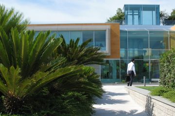 Giant bamboo, Rainbow Loreto headquarters, corporate garden