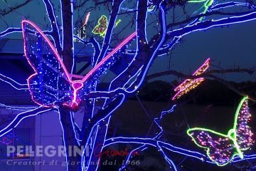 butterfly; Christmas 2018; Civitanova Marche