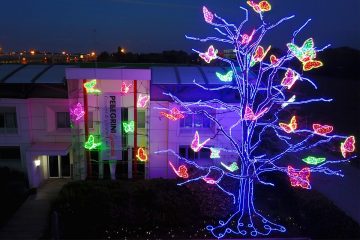 Christmas, Tree, Civitanova Marche Pellegrini