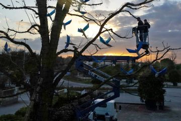 garden maintenance, Christmas tree setup