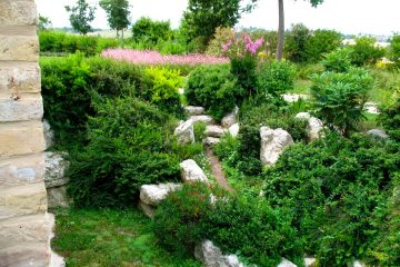 rock garden