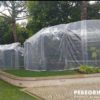 cold plants, plant protection, protecting plants, covering plants,