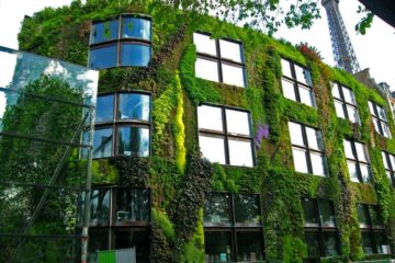 vertical-garden
