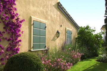 Plants of Boxwood and Bougainvillea, villa, garden