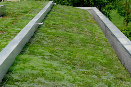 tetto verde pellegrini giardini