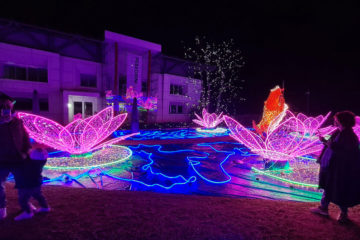 NATALE 2020 PELLEGRINI GIARDINI loto koi ninfee